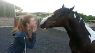 Horse kisses [upl. by Alyosha]