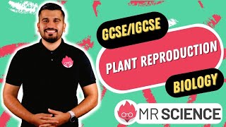 Plant Reproduction  Flower anatomy  GCSE  IGCSE Biology  Mr Science in 8K [upl. by Garrik723]