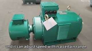 Low Voltage Wound Rotor 3 Phase Asynchronous Motor [upl. by Haimrej]