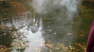 Huge Chunk of Sodium in Pond [upl. by Ramat]