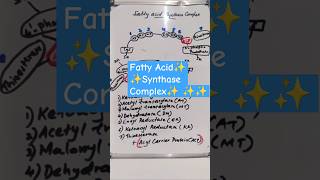 FAS  Fatty acid synthase Complex fattyacidsynthasecomplex biochemistrymbbs1styear fattyacids [upl. by Atirak802]