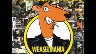 Screeching Weasel  Every Night [upl. by Graig]