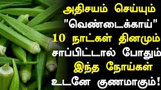 வெண்டைக்காய் மருத்துவ அதிர்ச்சி  Vendaikkai Benefits in Tamil Tamil News  Health Tips in Tamil [upl. by Rolandson247]