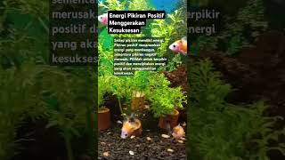 Energi Pikiran Positif Menggerakan Kesuksesan sukses pikiranpositif [upl. by Deedee]