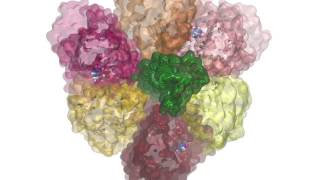 stalk rotation of Vtype ATPase [upl. by Ahsillek929]