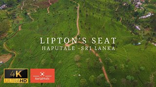 LIPTONS SEAT  HAPUTALE  SRI LANKA IN 4K DRONE [upl. by Retluoc983]