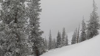 Powder April 2  Arizona Snowbowl April 6 2024 [upl. by Uos]