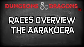 Dungeons amp Dragons 5e Races Tutorial quotThe Aarakocraquot [upl. by Notfilc]