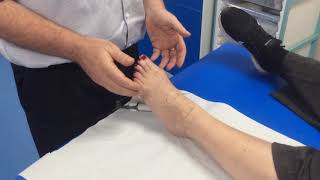 How to check for the dorsalis pedis amp anterior tibial pulse with a Doppler [upl. by Aneeroc976]