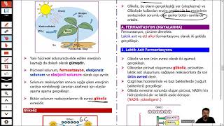 ENERJİ DÖNÜŞÜMLERİ FERMANTASYON [upl. by Seton]