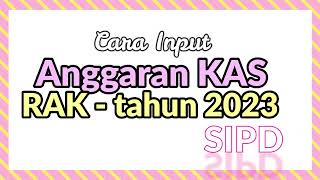 Input Rencana Anggaran Kas RAK tahun 2023 di SIPD [upl. by Publias]