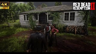 RED DEAD REDEMPTION 2  NO NO AND THRICE NO   rdr2 [upl. by Amathist538]