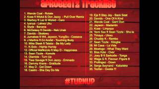 AFROBEATS MIXTAPE 2014 AFROBEATZ MIXTAPE SERIES [upl. by Niamreg]