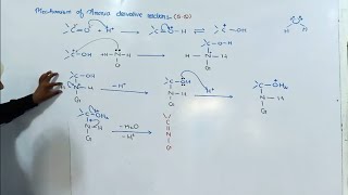 Mechanism of ammonia derivative reactions  12th class chemistry  chno12 [upl. by Danyelle]