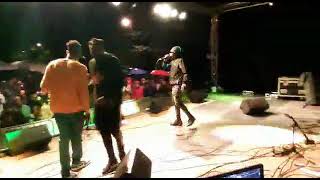 Arikiboy Live Performance at Afrodisiac Festival in Brussels Belgium [upl. by January]