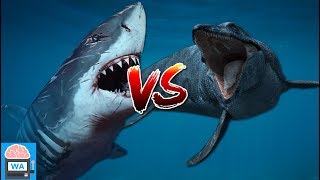 Megalodon vs Mosasaurus  wer würde den Kampf gewinnen I Wissensautomat [upl. by Dammahom]