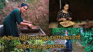 കുടംപുളി പറിച്ചു ഉണക്കാൻ എന്നെ സഹായിക്കാൻ ആരേലും ഉണ്ടോ കുറച്ച് പുളിയും തരാട്ടോsaranyas beauty [upl. by Aydin]