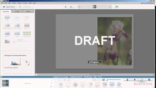 Picasa Tutorial  Photo note card setup and printing Windows Canon printer [upl. by Danyelle418]