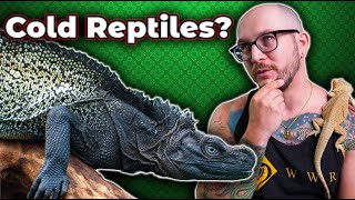 You Can Keep These 5 Reptiles OUTSIDE In ANY Climate Heres How [upl. by Arun]