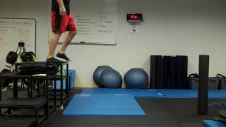 Explosivity for MMA ninja drop to squat jump [upl. by Anawd]