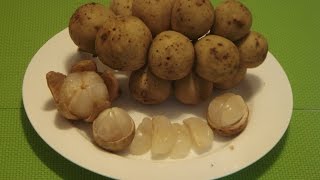 Lanzones Fruit How to Eat Longkong Fruit [upl. by Asiek]