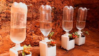 Como hacer Riego por Goteo con botellas de plástico Reciclado Rick Garden [upl. by Karlotta]