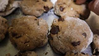 Cement Chocolate Chip Cookies [upl. by Linson]