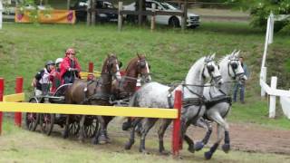 32e Concours dAttelage International 26 mn Maraton 2016 [upl. by Nivlem]