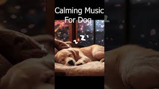 Deep sleep music for dogs🐶 Dog Sleep Music 🐶 Separation Anxiety Relief Music [upl. by Lesly535]