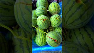 Watermelon cutting ninja technique 🍉🥝🍎🍊 shorts trending fruits reels [upl. by Ema]