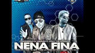 nena fina con letra [upl. by Enelaj]