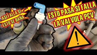 Sintomas de una valvula PCV dañada ⚠️ ASI FALLA TU CARRO CUANDO LA VALVULA PCV SE DAÑA ⚠️ [upl. by Eloccin]