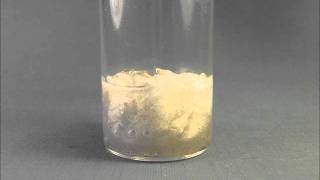 Degradation of Cellulose by Catalyzed Hydrogen Peroxide H2O2 [upl. by Rafaelle565]