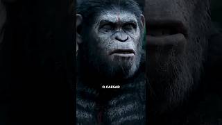 Planeta dos Macacos O Confronto é ESPETACULAR em todos os seus detalhes planetoftheapes cinema [upl. by Lourdes417]