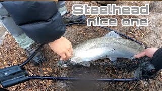 fall Steelhead fishing fishingvideo [upl. by Anauq]