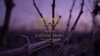 Château Cantenac Brown  Margaux  Millésime 2022 quotEn Primeursquot [upl. by Ricoriki]