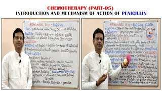 Chemotherapy of Antibiotics Part05 Penicillin 01 Introduction amp Classification  Antibiotics [upl. by Anawak]