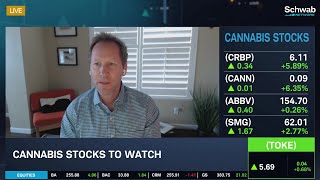 GTI TOKE Cannabis Stocks To Watch [upl. by Adilen678]