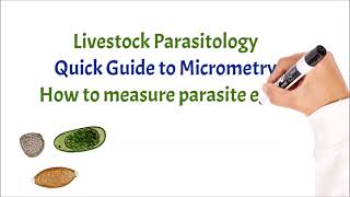 How to measure a parasite egg in µm micrometers [upl. by Ayor412]