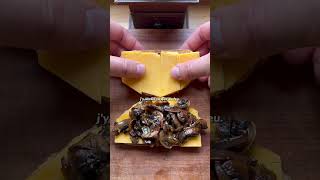 Œuf mouillettes cheddar champignons oeuf recipe champignons recette pornfood instafood [upl. by Syverson179]