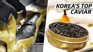 How Cheol Hong Park Produces Some of Koreas Finest Caviar — Vendors [upl. by Gottwald]