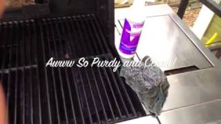 How to Clean Your Oven amp Grill Naturally the Norwex Way [upl. by Stoneham806]