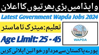 Wapda Govt Jobs 2024 Apply Online  Latest Vacancies in Wapda 2024  Today Wapda Jobs Update [upl. by Ellehcyt]