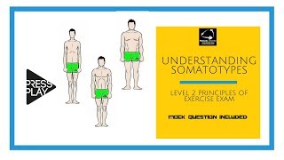 Understanding Somatotypes Level 2 Principles Revision [upl. by Annola645]