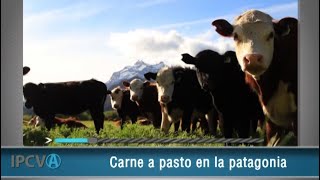 2878  quotCarne a pasto en la Patagoniaquot Marcelo Champredonde 30092021 [upl. by Etnomal70]