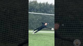 Match realistic strikes in the angle 🐈🧤📸 football goalkeeperunion footballplayer goalkeeper [upl. by Henleigh]