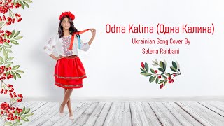 Sofia Rotaru  Odna Kalina Одна Калина Cover By Selena Rahbani [upl. by Bresee992]