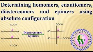 Determining homomers enantiomers diastereomers and epimers using absolute configuration [upl. by Garlinda]