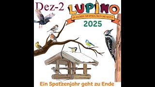 Lupino 2025  19 Ein Spatzenjahr geht zu Ende [upl. by Lyj]