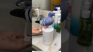 The cream inside my ismart pigeon।🕊️shortvideo amazingfacts [upl. by Orrin]